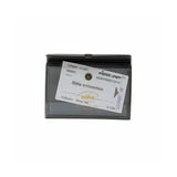 Nähe : Card Case : Clear Brown