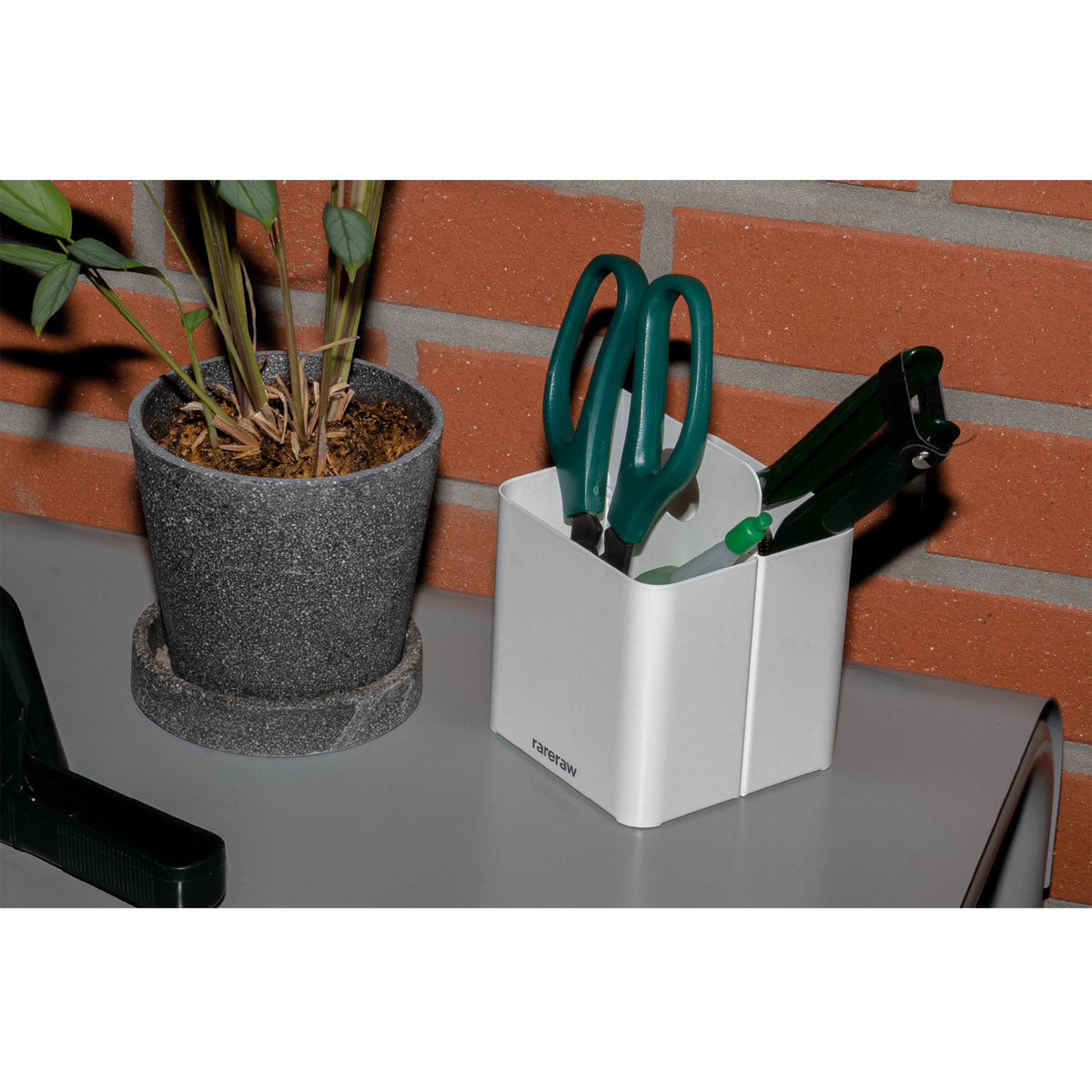 Rareraw : Toolbox S