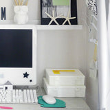 Penco : Storage Container : Clear